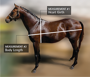 simple method of estimating the weight of a horse or pony Weigh Tape 
